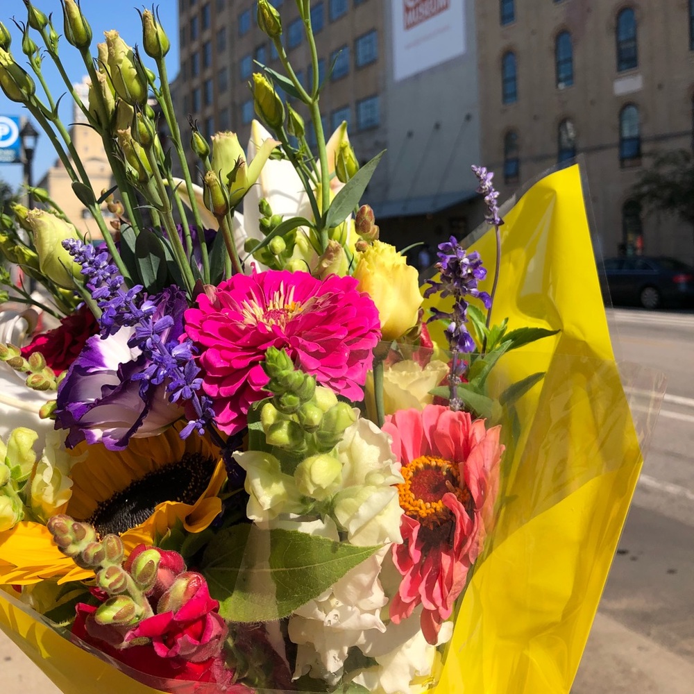 Meet your Posher, Anna